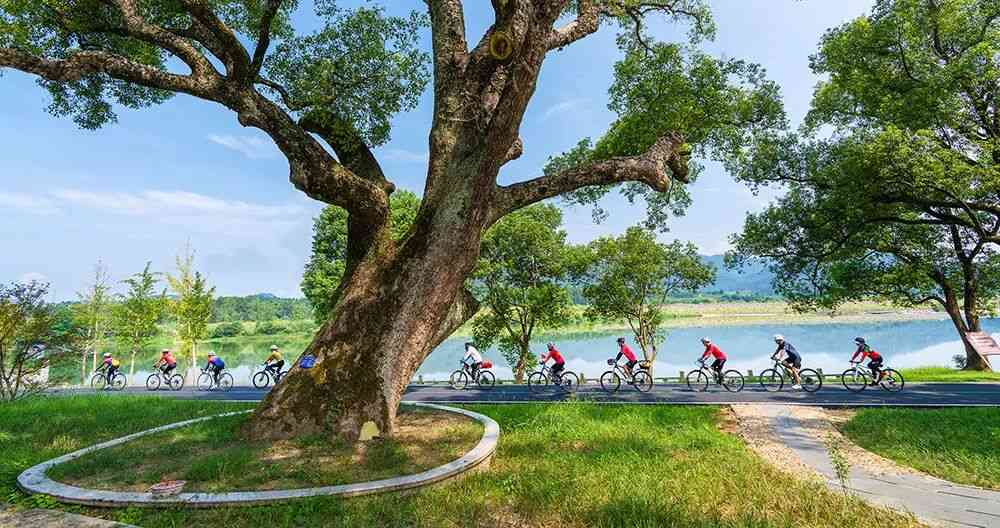 福建南平推出500余场新春活动邀客