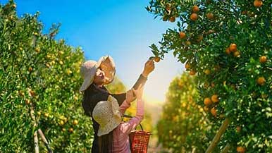 乡村振兴，旅游助力