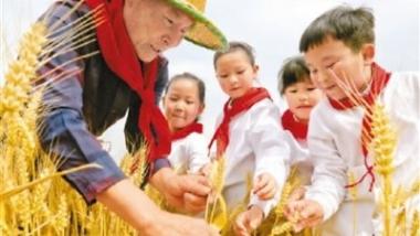 研学游不断推陈出新 “行走的课堂”很精彩