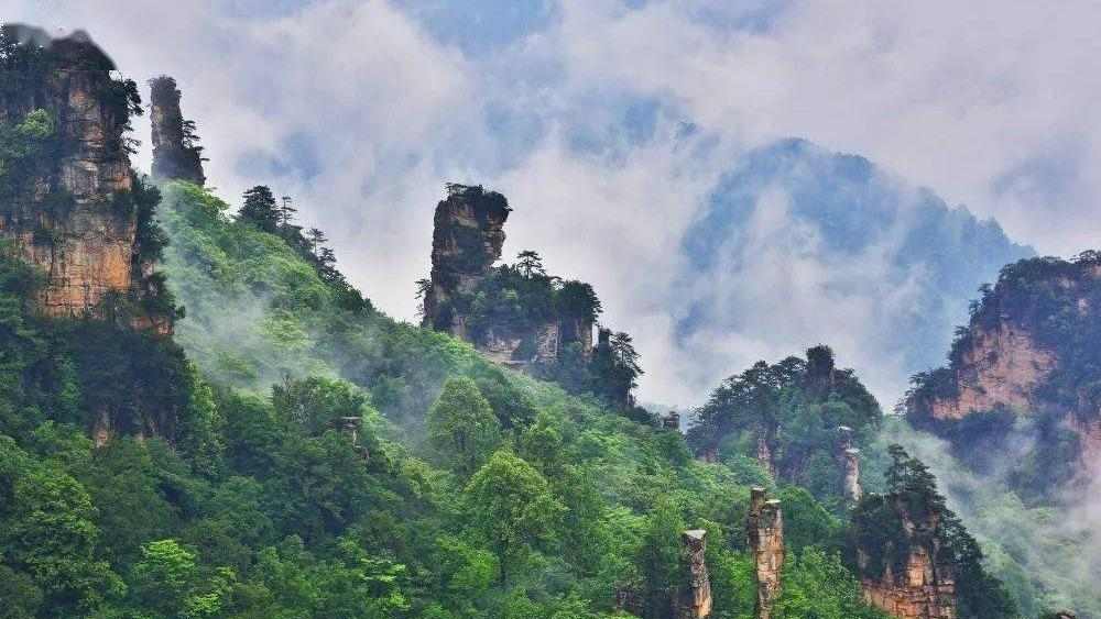 绿色发展惠民生 森林旅游正当时