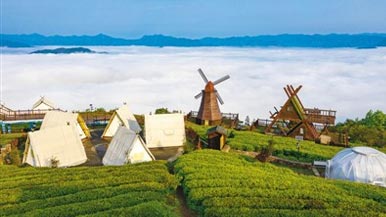 水韵江苏奏响茶旅“交响乐”