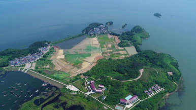 鄱阳湖中棠荫岛