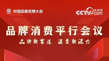 2024年中国品牌发展大会品牌消费平行会议嘉宾金句海报