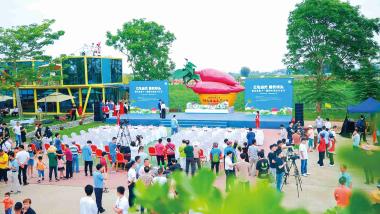 “地瓜+文旅”，越走路越宽