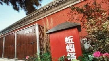 换个角度游故宫 看“零废弃”中的“花鸟卷”