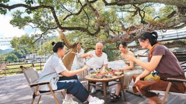 观景、康养、研学、探秘——到福建乐享特色森林游