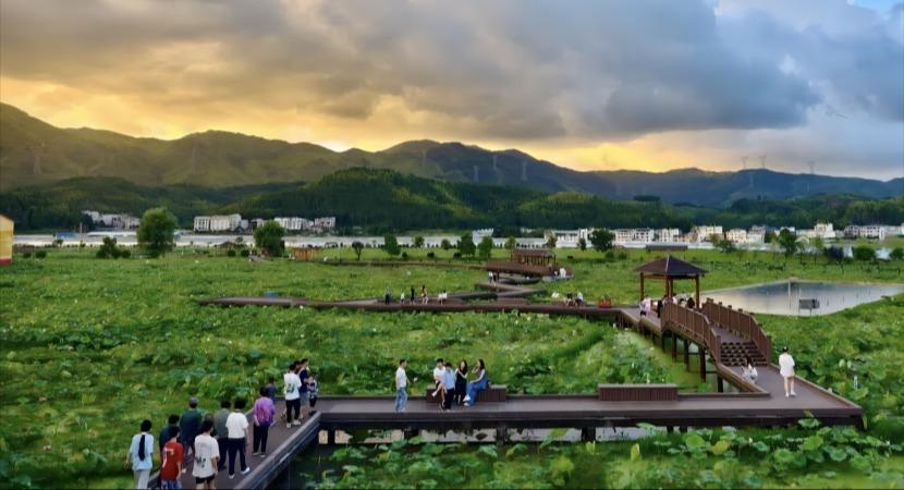 这个暑期，文旅消费“燃”了！