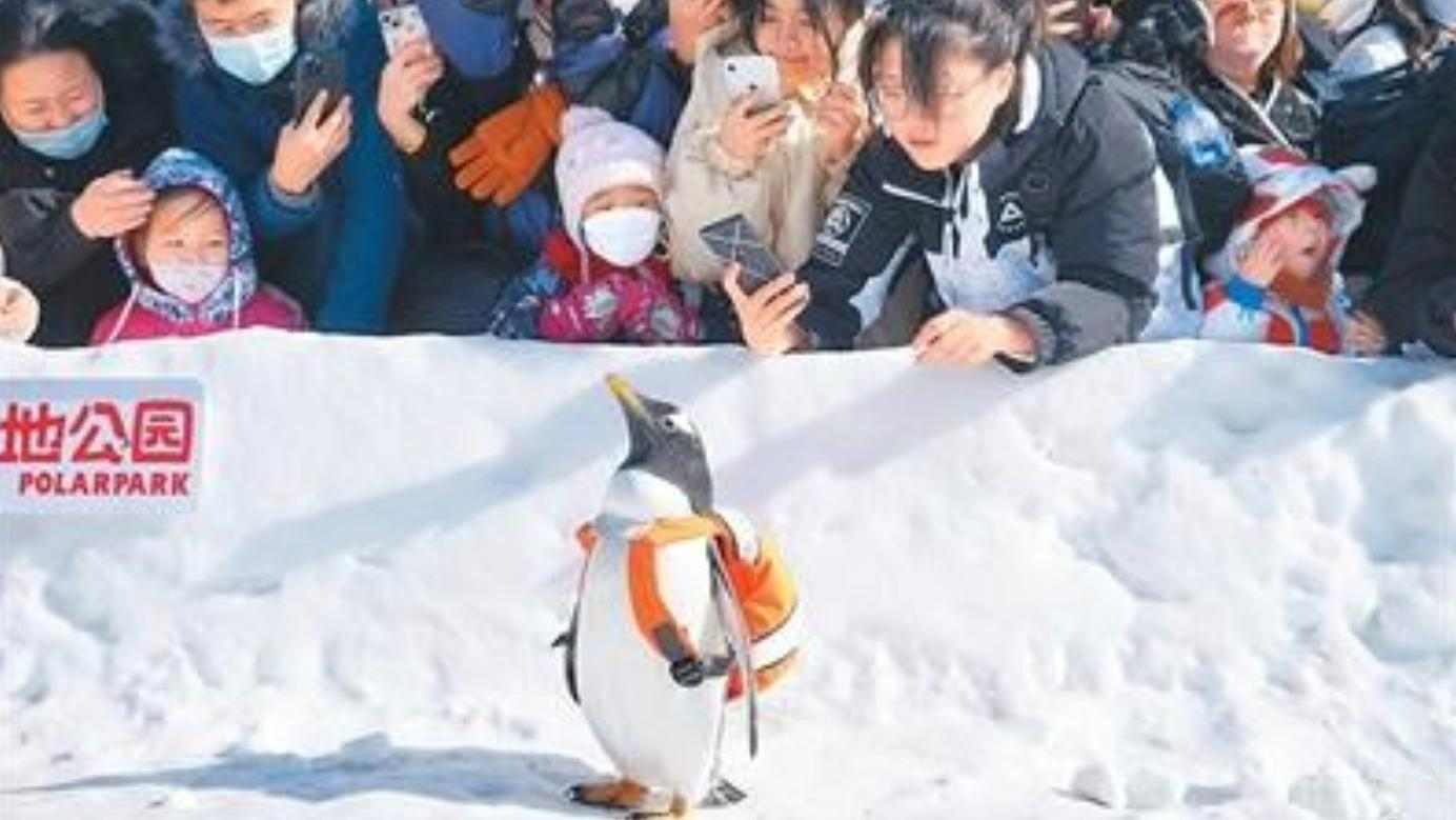 向世界发出冰雪邀约