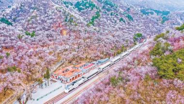 进京绿廊扮靓“北京第一印象”