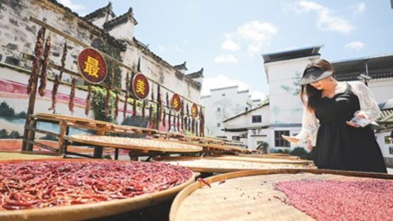 “奔县”“乡游”火了 小乡村如何接稳“大流量”