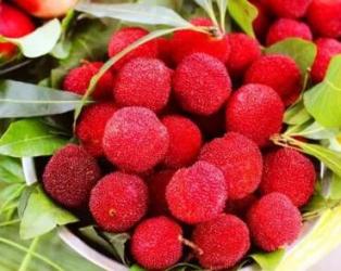 杨梅季来了，多种吃法满