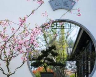 安吉的文化之旅，还有巴