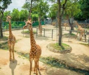 安吉这几个地方，告诉你