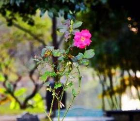 震撼你的眼球，无需美颜