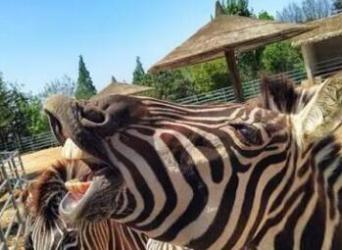 中南百草园，游玩学习两