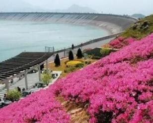 这时候的江南天池美如人