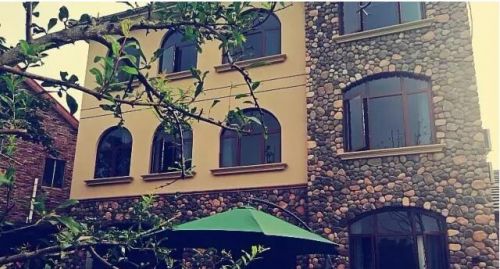 倾听屋外的蛙鸣鸟唱歌