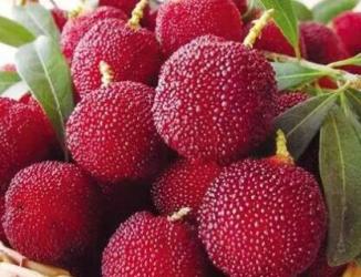 味甜汁多的杨梅，这才是