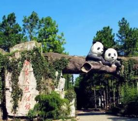 安吉一日游，打造你的完