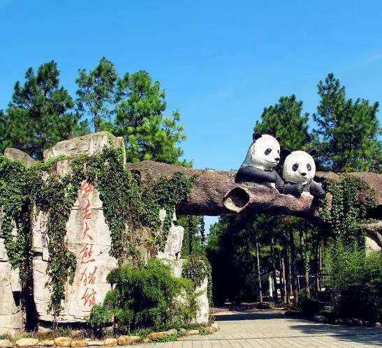 熊猫乐园