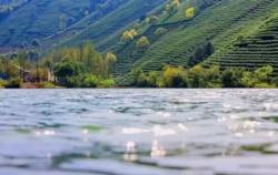 美丽乡村，带你领略自然