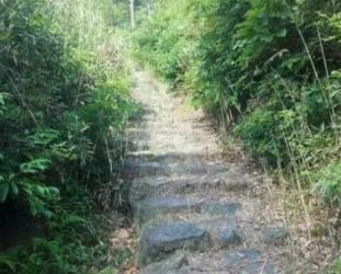 不一样的“茶马古道”，