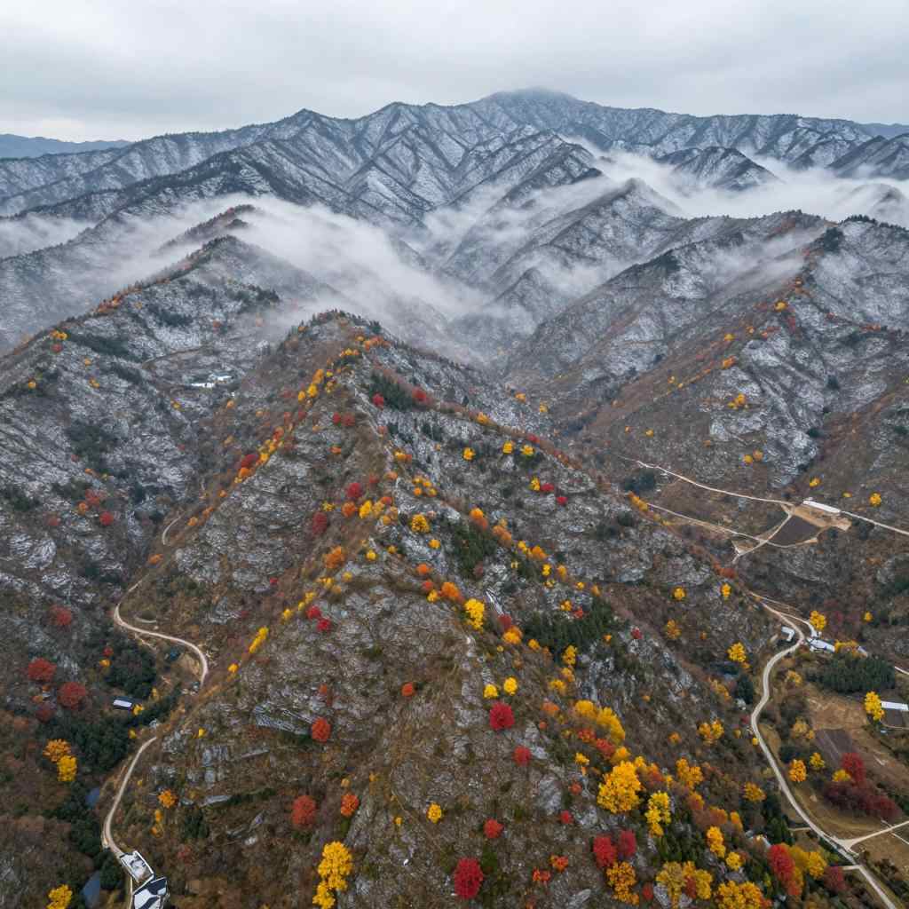 初冬时节，神州大地开启“美颜”模式
