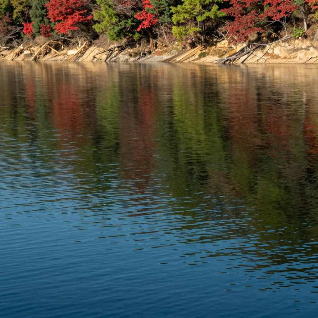 甘肃磨坝峡初冬层林尽染五彩斑斓